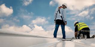 Best Emergency Roof Repair Services  in Horse Shoe, NC